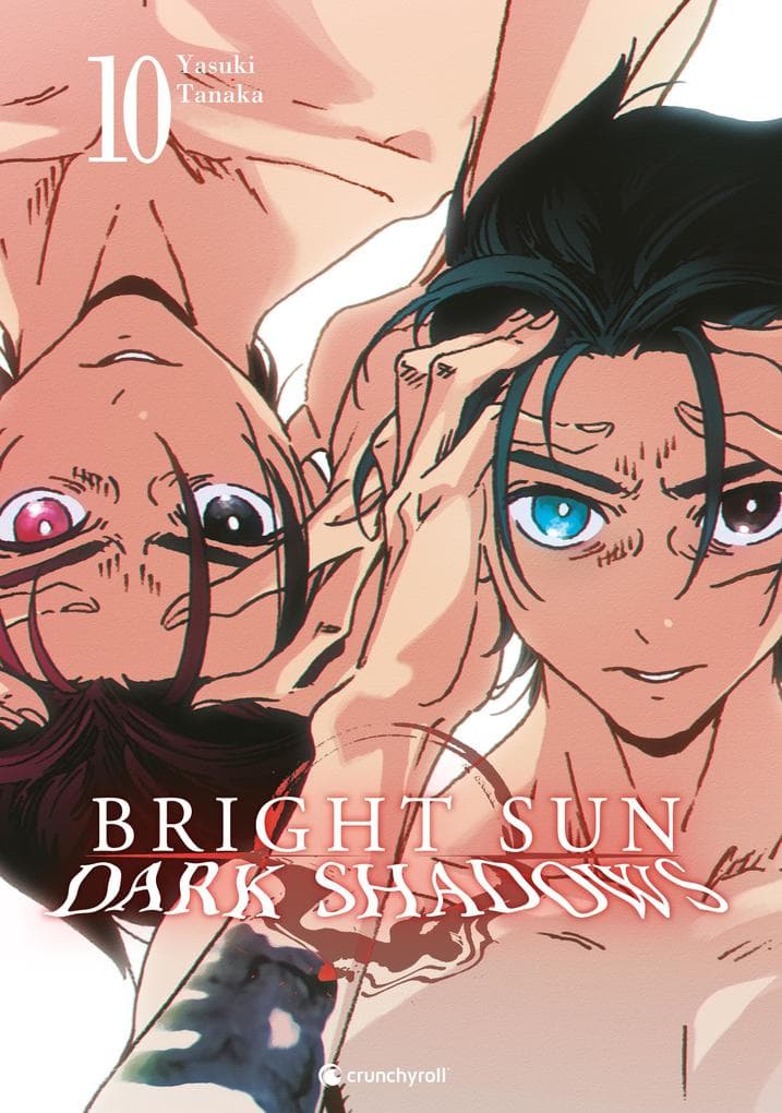 Bright Sun - Dark Shadows - Band 10