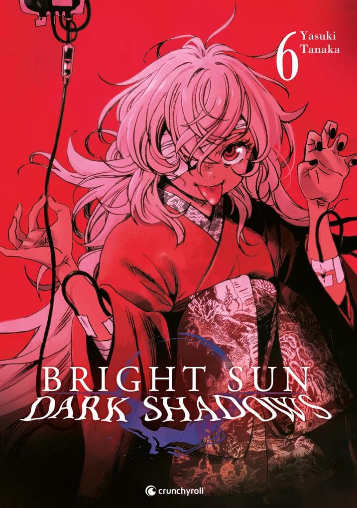 Bright Sun - Dark Shadows - Band 6