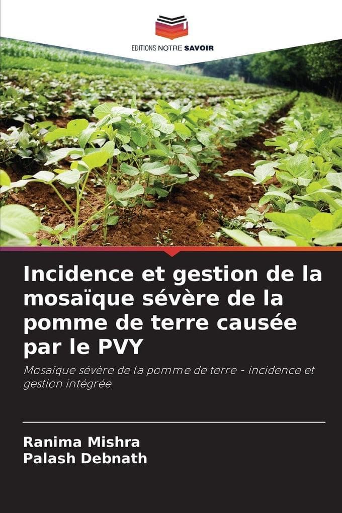 Incidence et gestion de la mosaïque sévère de la pomme de terre causée par le PVY