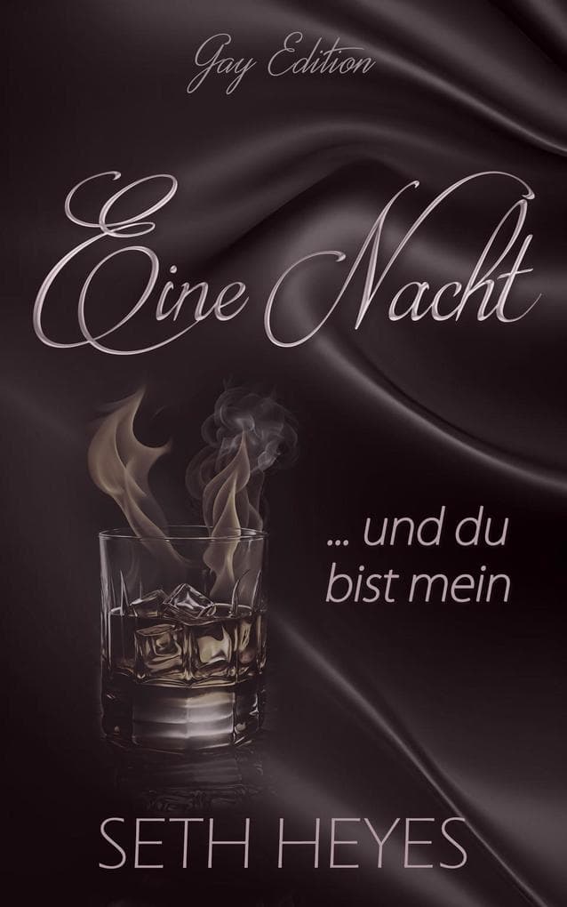 Eine Nacht ... und du bist mein (Gay Edition, #1)
