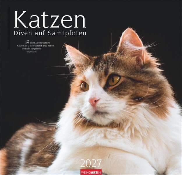 Katzen - Diven auf Samtpfoten Kalender 2027 - Diven auf Samtpfoten