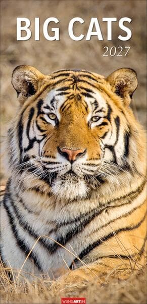 Big Cats Kalender 2027