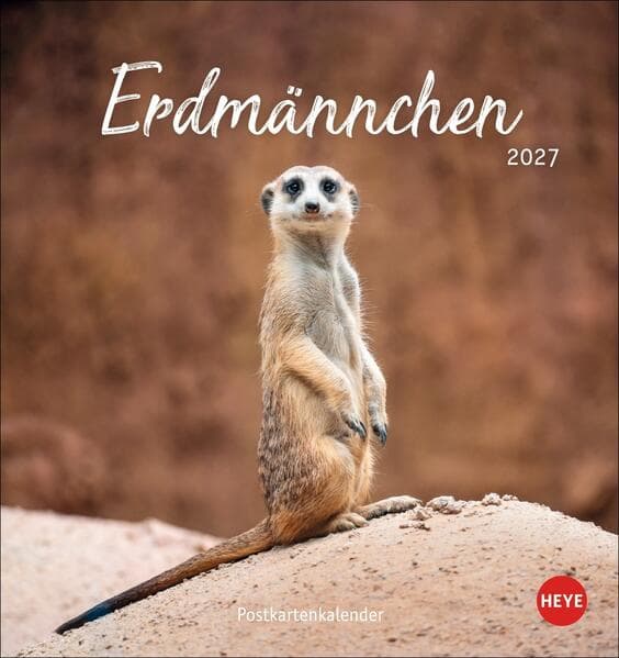 Erdmännchen Postkartenkalender 2027
