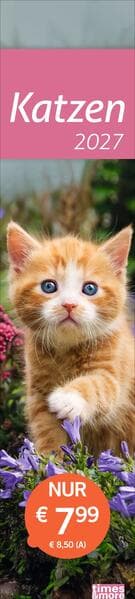 times&more Katzen Langplaner 2027