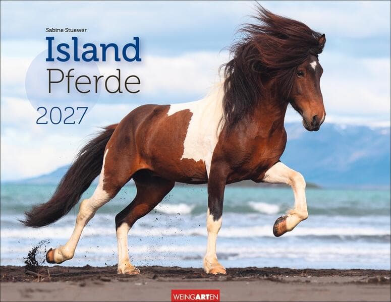 Islandpferde Kalender 2027