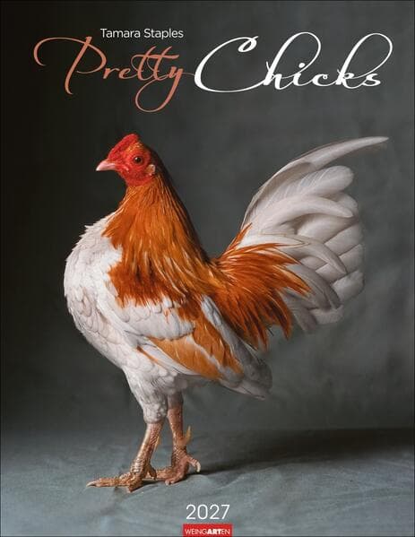 Pretty Chicks Kalender 2027