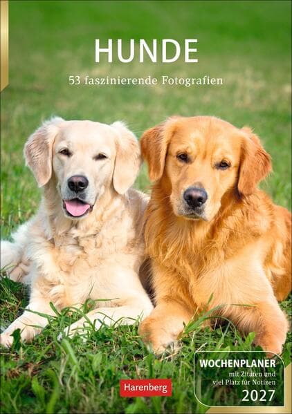 Hunde Wochenplaner 2027 - 53 faszinierende Fotografien