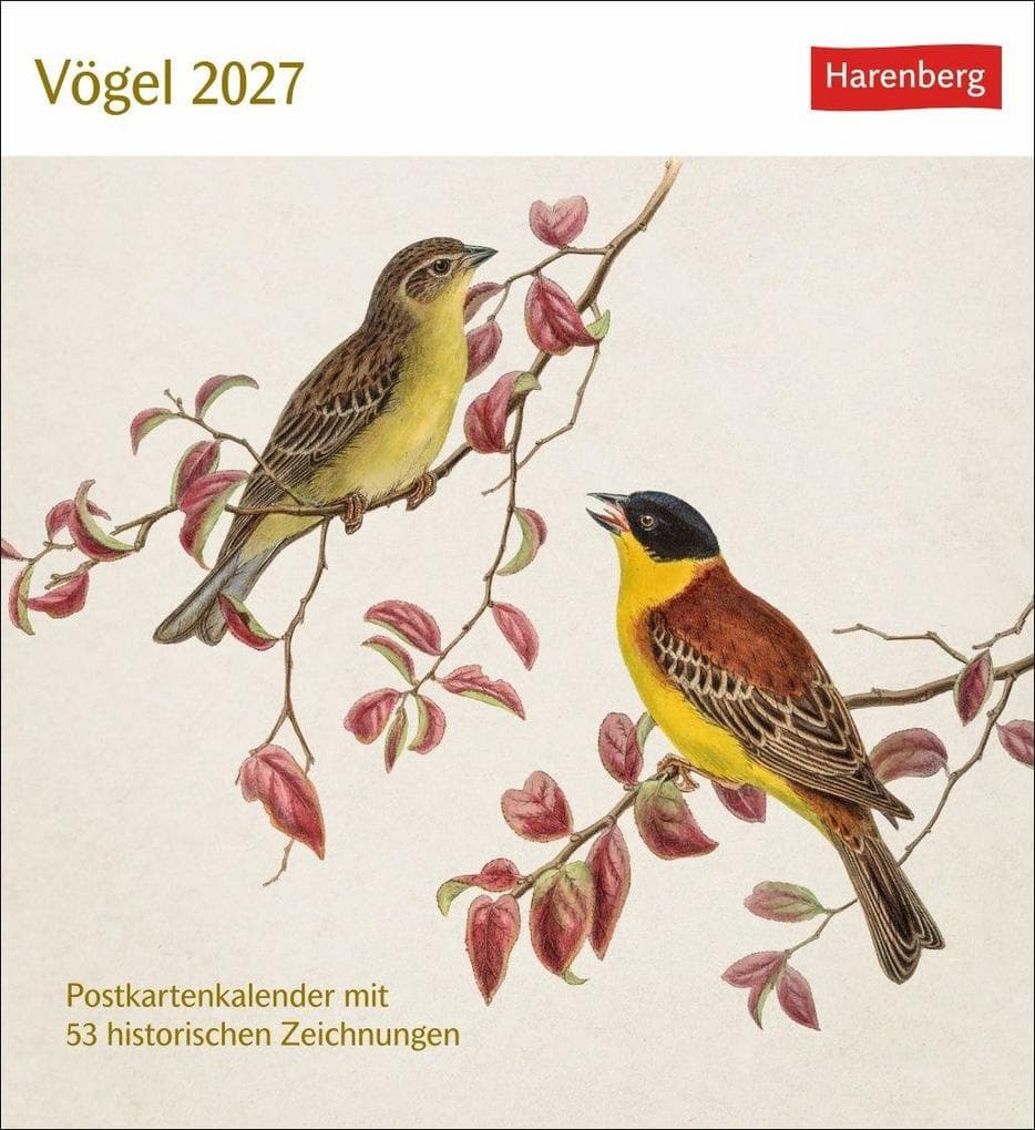 Vögel Postkartenkalender 2027 - Postkartenkalender mit 53 historischen Zeichnungen