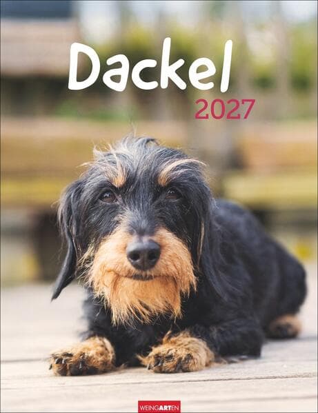 Dackel Kalender 2027