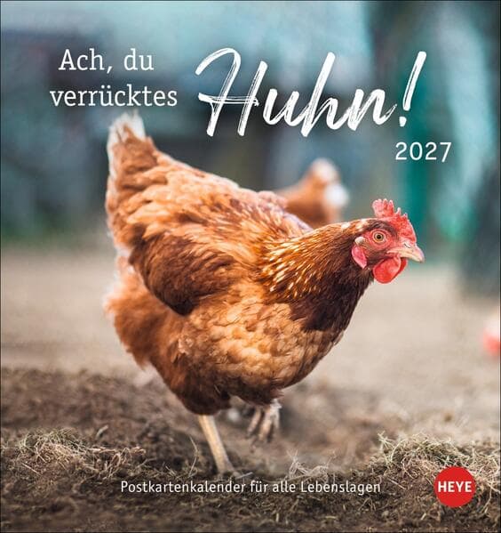 Hühner Postkartenkalender 2027 - Ach, du verrücktes Huhn!