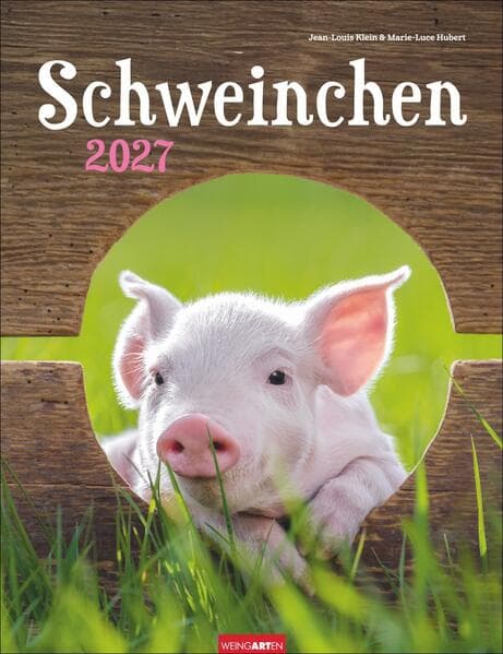 Schweinchen Kalender 2027