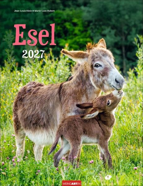 Esel Kalender 2027