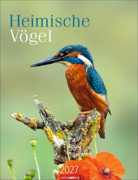 Heimische Vögel Kalender 2027