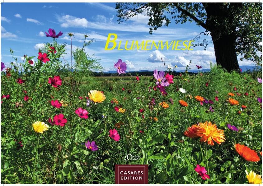 Blumenwiese Kalender 2027 - Wandkalender | Fotokalender Naturkalender 35x50cm | Wunderschöne Fotos der blühenden Natur