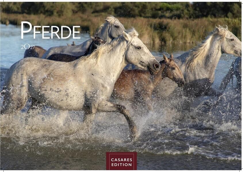 Pferde Kalender 2027 - Wandkalender | Fotokalender Tierkalender 35x50cm mit 12 wunderschönen Fotos dieser edlen Tiere