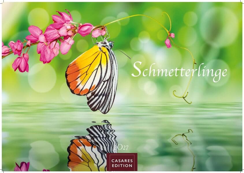 Schmetterlinge Kalender 2027 - Wandkalender | Fotokalender Tierkalender 35x50cm Grosses Format - Mit wunderschönen, detailreichen Bildern von Schmetterlingen.