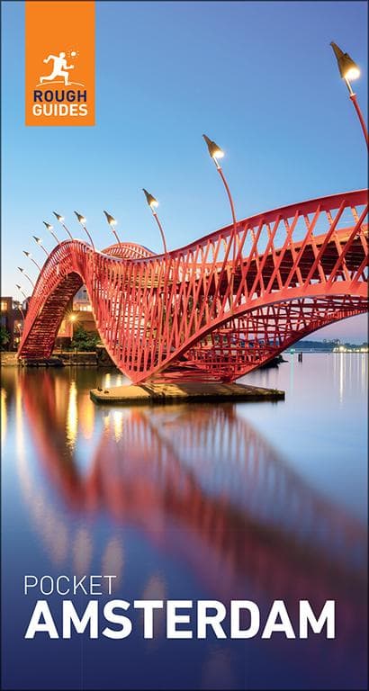 Rough Guides Pocket Amsterdam: Travel Guide eBook