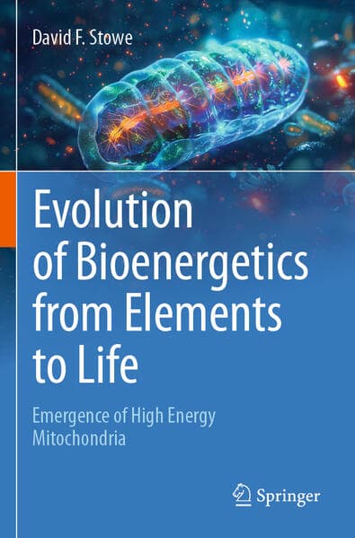 Evolution of Bioenergetics from Elements to Life