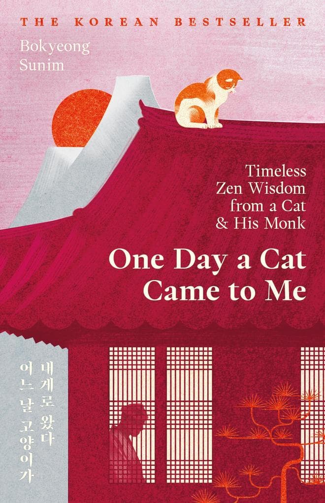 One Day a Cat Came to Me