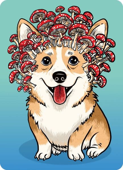 Minipuzzle 100 Teile - Corgi-Pilz