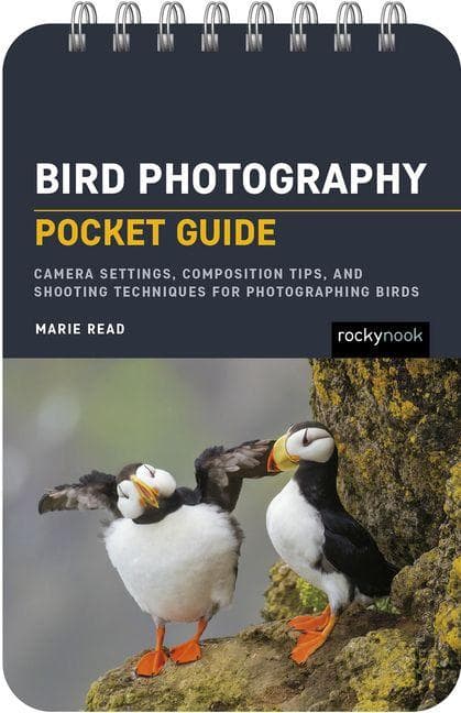 Bird Photography: Pocket Guide