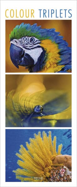 Colour Triplets 2027