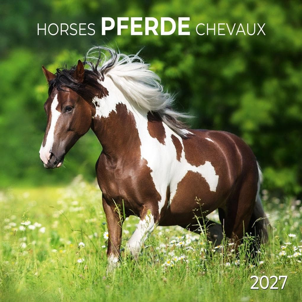 Pferde / Horses 2027