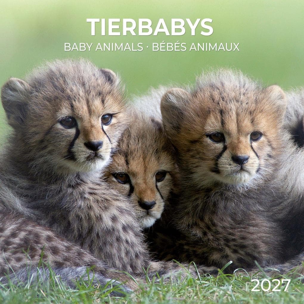 Tierbabys / Baby Animals 2027