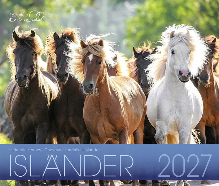 Isländer 2027