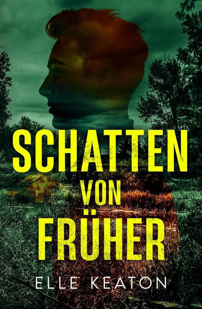 Schatten von früher (Verschleierte Vorhaben, #2)