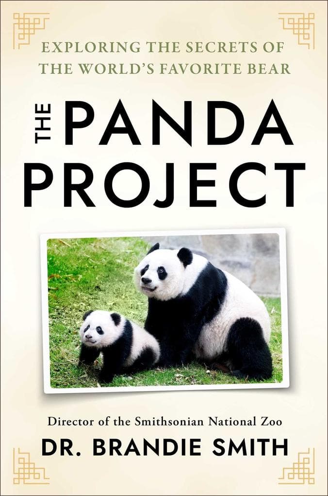 In the Company of Pandas