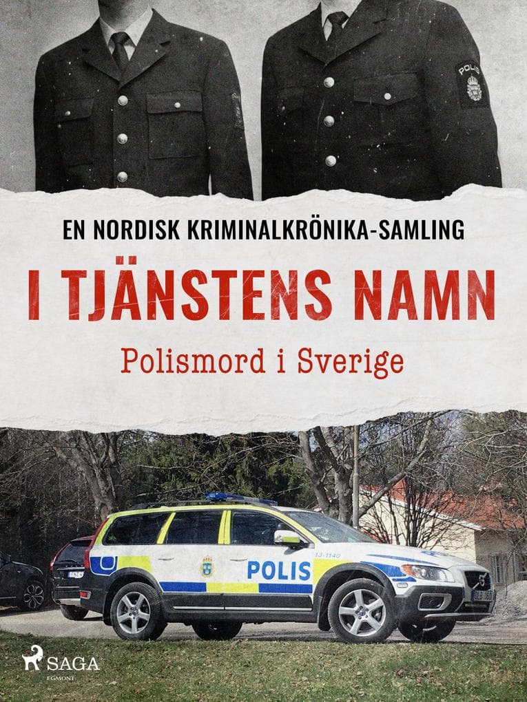 I tjänstens namn - Polismord i Sverige