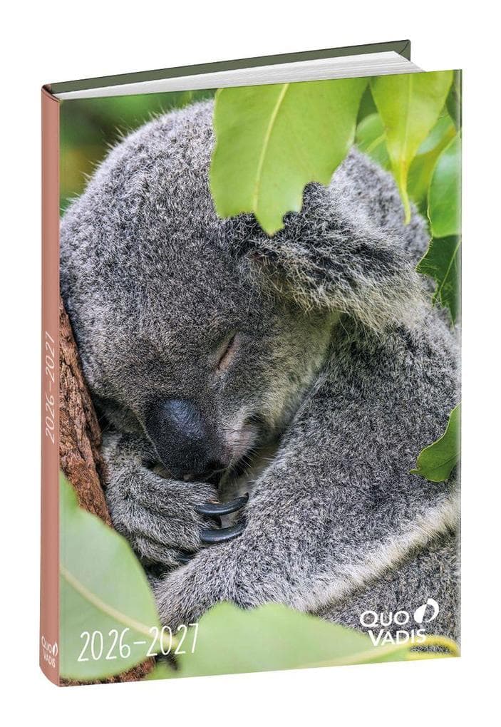 Schülerkalender Forum Tiere Koala 2026 / 2027