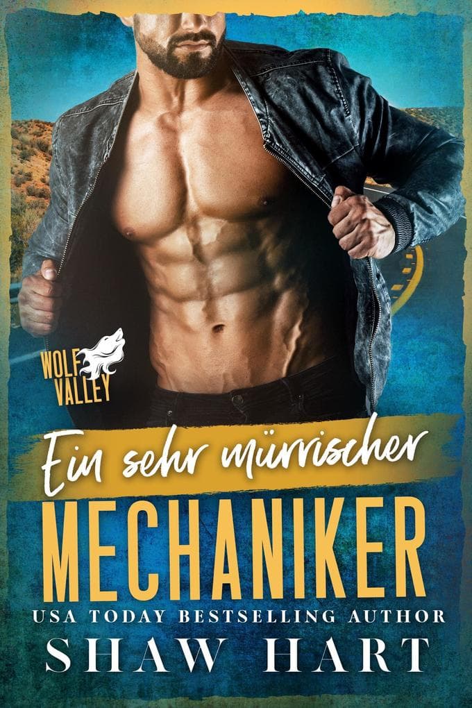 Ein sehr mürrischer Mechaniker (Wolf Valley: Grumps, #12)