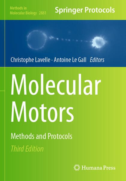 Molecular Motors