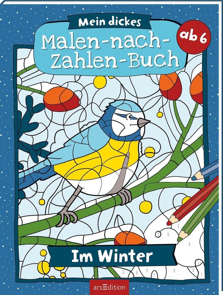 Mein dickes Malen-nach-Zahlen-Buch - Im Winter