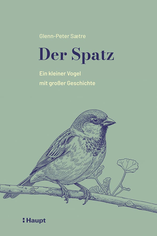 Der Spatz