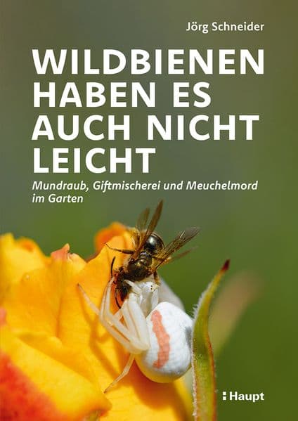 Wildbienen haben es auch nicht leicht