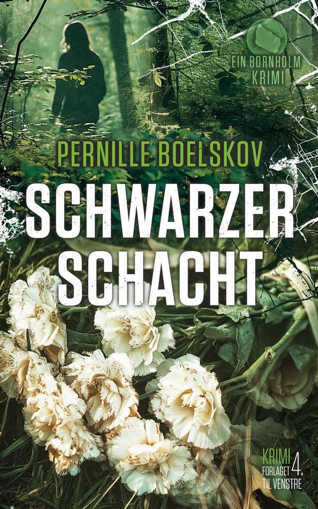 Schwarzer Schacht (Detektivin Agnethe Bohn, #4)