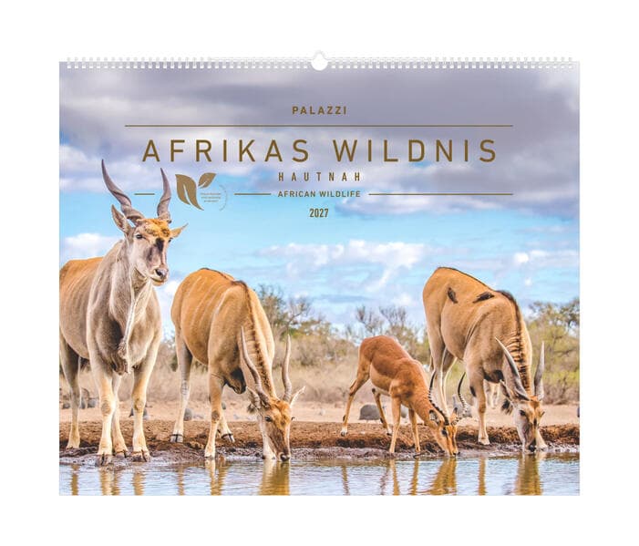 Hautnah - Afrikas Wildnis 2027