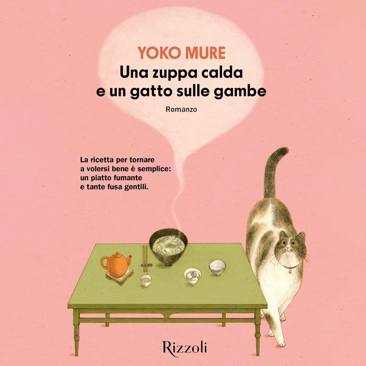 Una zuppa calda e un gatto sulle gambe