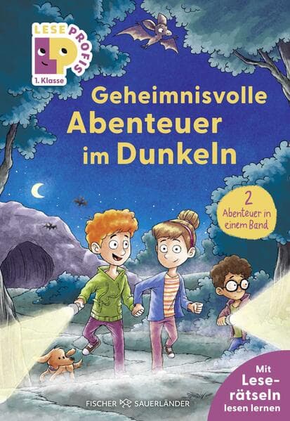 Leseprofis - Geheimnisvolle Abenteuer im Dunkeln, 1. Klasse (Doppelband)