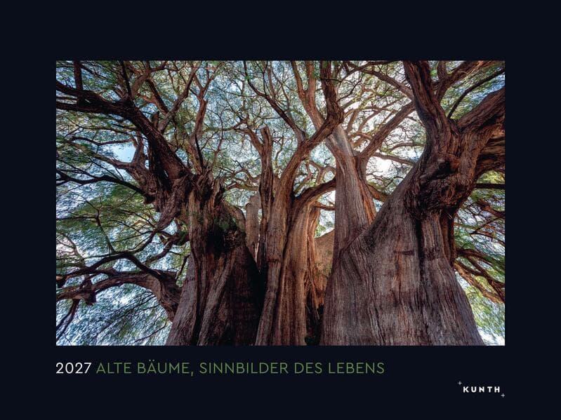 Alte Bäume, Sinnbilder des Lebens - KUNTH Wandkalender 2027