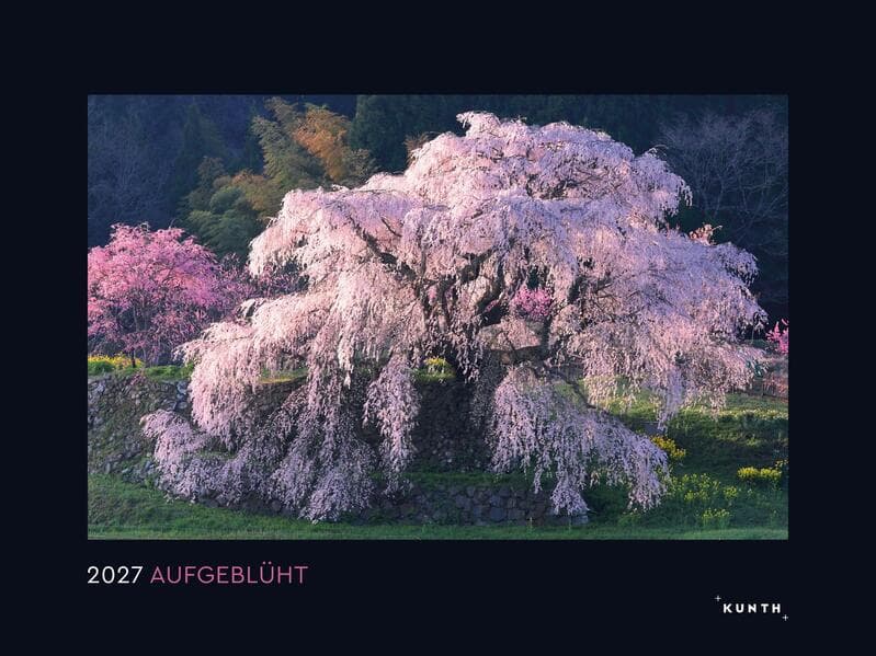 Aufgeblüht - KUNTH Wandkalender 2027