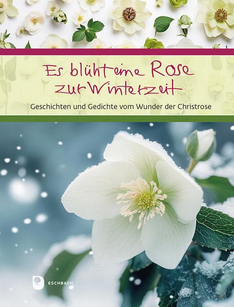 Es blüht eine Rose zur Winterzeit