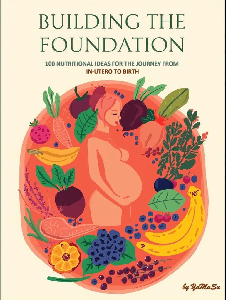 Building The Foundation: 100 Nutritional Ideas For The Journey From In Utero To birth (The 100)