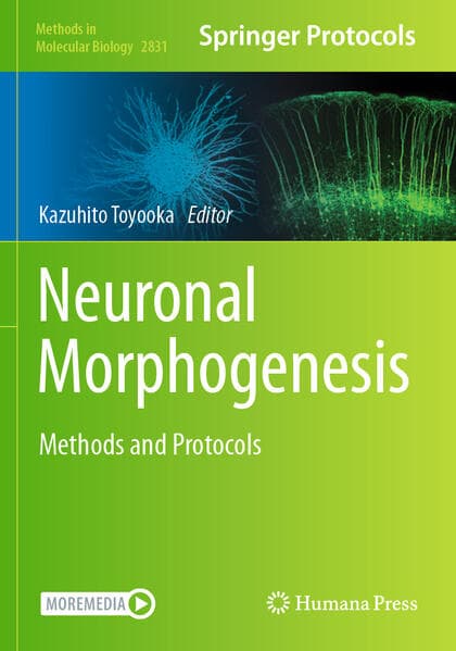 Neuronal Morphogenesis