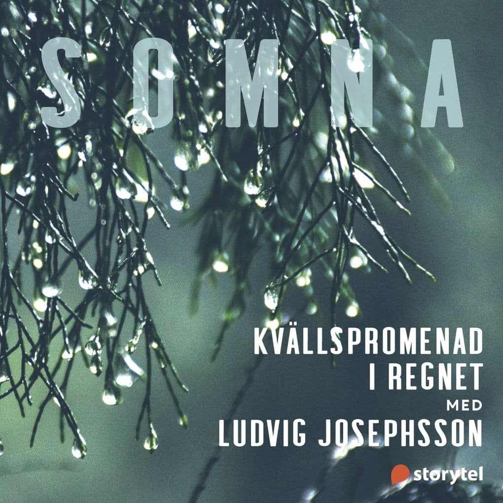 Kvällspromenad i regnet