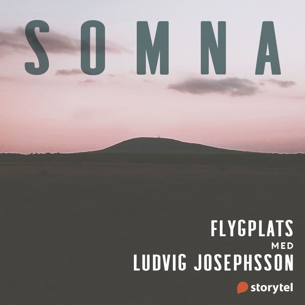 Flygplats