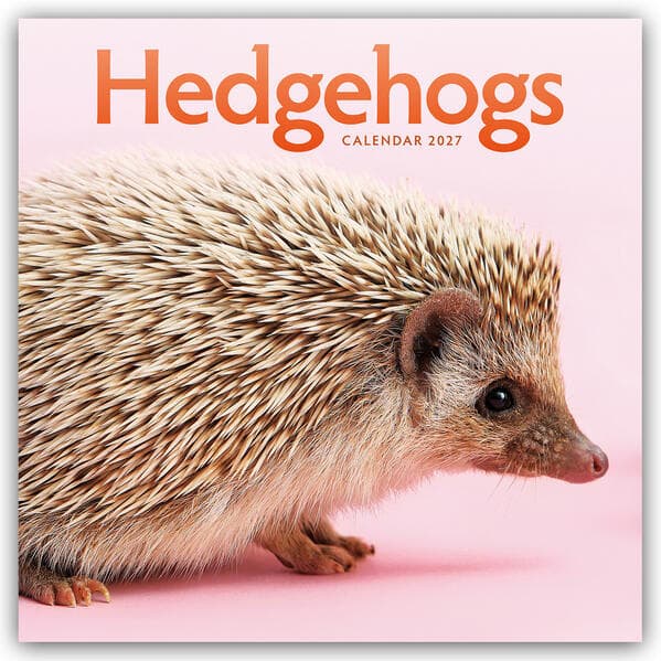 Hedgehogs - Igel 2027 - Wand-Kalender